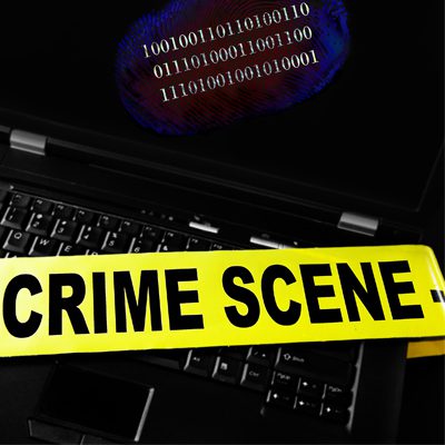 True Crime Reporter Stories